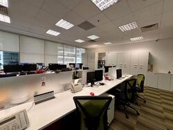 Orchard Plaza (D9), Office #554546641